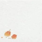 大黒 季寄せ懐紙 No.5 ほうずき 196029