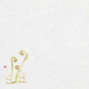 大黒 季寄せ懐紙 No.32 ぜんまい 196046