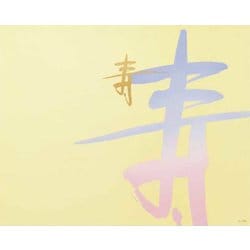 大黒 折掛紙 No.709 <コート> 87090