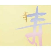 大黒 折掛紙 No.709 <コート> 87090