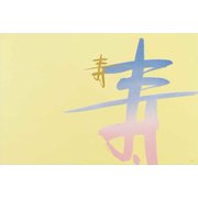 大黒 折掛紙 No.783 <コート> 87830