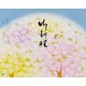 大黒 折掛紙 No.134 （御料理） <コート> 94910