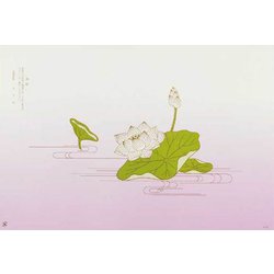 大黒 折掛紙 No.153 <コート> 96720