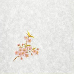 大黒 シースル掛紙 No.4 （桜） 97931