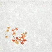 大黒 シースル掛紙 No.8 (紅葉」 97935