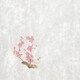 大黒 シースル掛紙 No.10 （紅梅」 97937