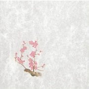大黒 シースル掛紙 No.10 (紅梅」 97937