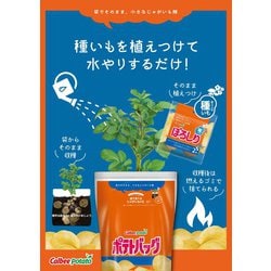 ヨドバシ.com - PROTOLEAF カルビー ポテトバッグ 12L [袋で育てる