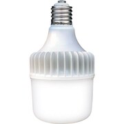 SH-40TL [セフティー SAFETY E39LED電球 バラストレス水銀灯500W相当 屋外対応]