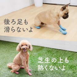 ヨドバシ.com - ペットアドバンス PET's ADVANCE PAWA-SSD-4 [犬用