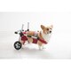 DGS-MH3RDT [犬用補助車 ドギーサポーター セット品 M 本体＋専用ハーネス 3 レッド]
