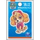 GFT01Y2359 パウ・パトロール シール＆アイロン 2WAY ワッペン 小 スカイ [キャラクターグッズ]