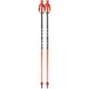 RD SL JUNIOR OZ35122 110cm 2本セット [スキー ストック ジュニア]