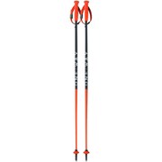 RD SL JUNIOR OZ35122 110cm 2本セット [スキー ストック ジュニア]