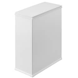 スチールペール 30L フタ付き 分別可 袋止め付き ゴミ箱 ホワイト STPL-30