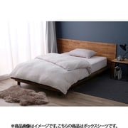 BXSーTCSーS [ボックスシーツ タオル素材 シンカーパイル 吸水・吸汗性 シングルサイズ ライトグレー]