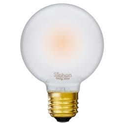 LEDフィラメント電球 Siphon（サイフォン） ボール70 フロスト E26 2200K LDF88D