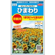 景観用大袋 ひまわり ビューティフルサン 1袋
