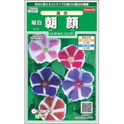 曜白朝顔 混合 1袋
