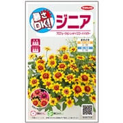 暑さOK ジニア プロフュージョン レッドイエローバイカラー 1袋