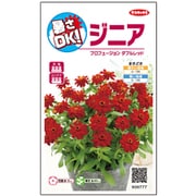 暑さOK ジニア プロフュージョン ダブルレッド 1袋
