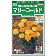 マリーゴールド アイシスミックス 1袋