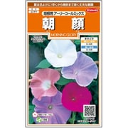 朝顔 垣根用アーリーコールミックス 約8粒 1袋