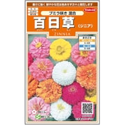 百日草 プミラ咲き混合 1袋