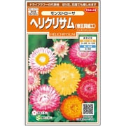 ヘリクリサム（帝王貝細工）モンストローサ 1袋