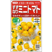 すずなりミニトマト（黄） イエローキャロル 1袋