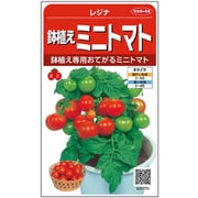 鉢植えミニトマト レジナ 1袋