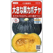 大きな栗カボチャ くりほまれ 1袋