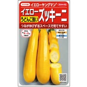 うどんこ病に強いイエローズッキーニ イエローヤングマン 1袋