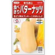 食べきりバターナッツ 約6粒 1袋