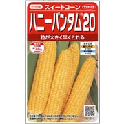 トウモロコシ ハニーバンタム20 約65粒 1袋