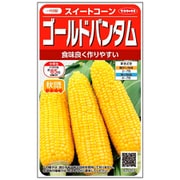 トウモロコシ ゴールドバンタム 1袋