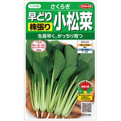 コマツナ さくらぎ 1袋