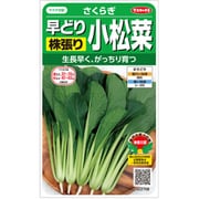 コマツナ さくらぎ 1袋
