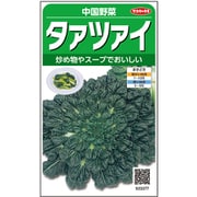 タァツァイ 1袋