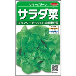 サラダ菜 サマーグリーン 1袋