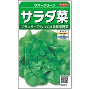 サラダ菜 サマーグリーン 1袋