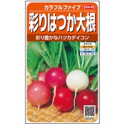 彩りはつか大根 カラフルファイブ 1袋