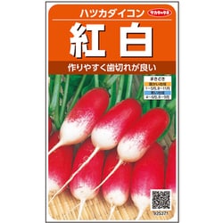 紅白 ハツカダイコン 1袋