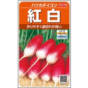 紅白 ハツカダイコン 1袋