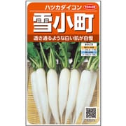 雪小町 ハツカダイコン 1袋