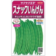 サクサクつるなしインゲン サクサク王子 1袋