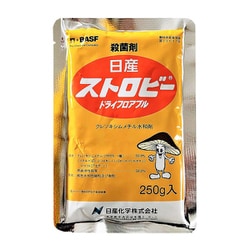 ストロビードライフロアブル 250g