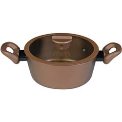 VISIONS ビジョンズ 鍋 両手鍋 シチュー カレー ポット 20cm IH対応 ガラス蓋付 GOLD Coating CP-8809