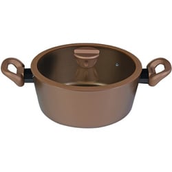 VISIONS ビジョンズ 鍋 両手鍋 シチュー カレー ポット 24cm IH対応 ガラス蓋付 GOLD Coating CP-8810