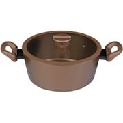 VISIONS ビジョンズ 鍋 両手鍋 シチュー カレー ポット 24cm IH対応 ガラス蓋付 GOLD Coating CP-8810